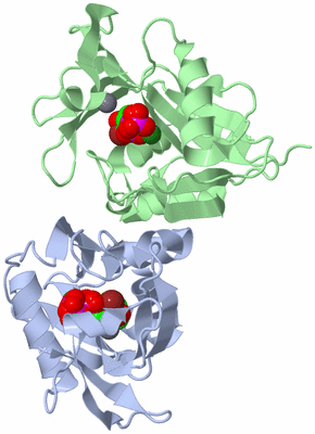 Image Asym./Biol. Unit