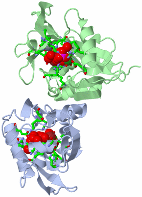 Image Asym./Biol. Unit - sites