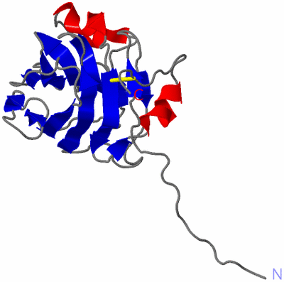 Image NMR Structure - model 1