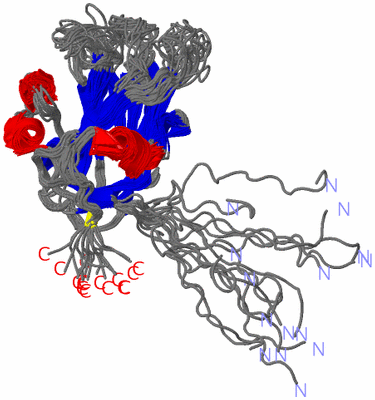 Image NMR Structure - all models