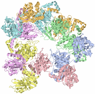 Image Asym./Biol. Unit