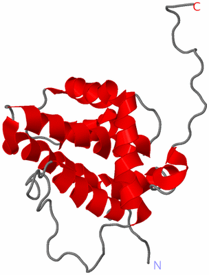 Image NMR Structure - model 1