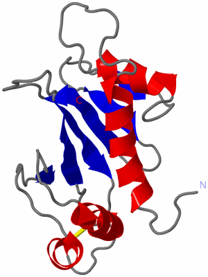 Image NMR Structure - model 1