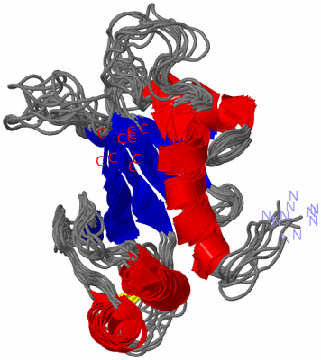 Image NMR Structure - all models