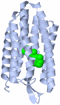 Image Biological Unit 1