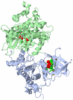 Image Asym./Biol. Unit - sites