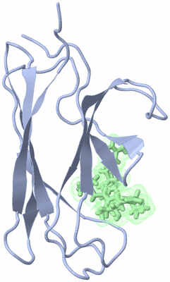 Image NMR Structure - model 1