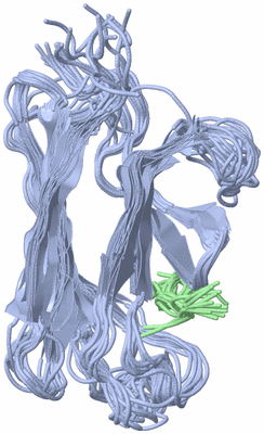 Image NMR Structure - all models