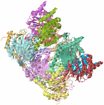 Image Biological Unit 1