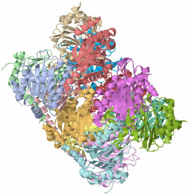 Image Biological Unit 1