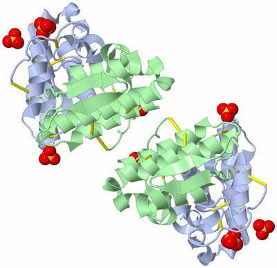 Image Biological Unit 3