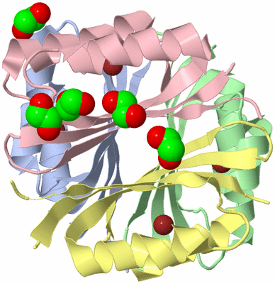 Image Asym./Biol. Unit