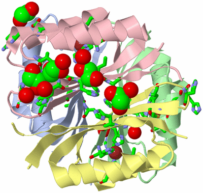 Image Asym./Biol. Unit - sites