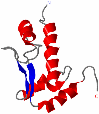 Image NMR Structure - model 1