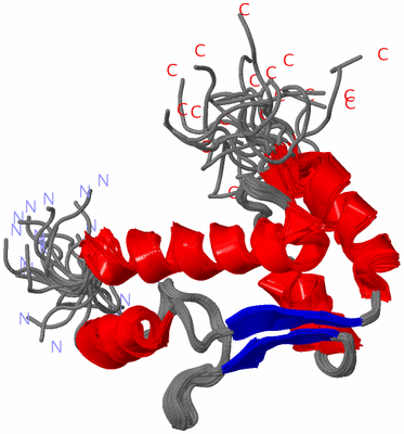Image NMR Structure - all models