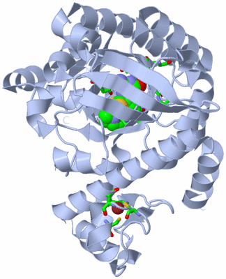 Image Biol. Unit 1 - sites