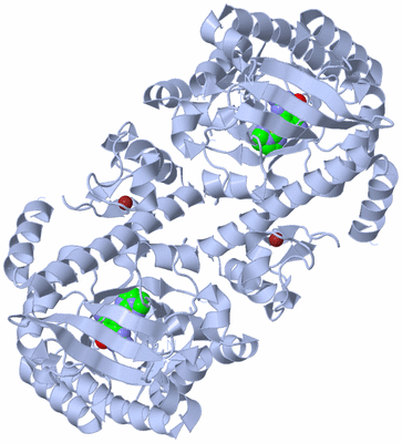 Image Biological Unit 2