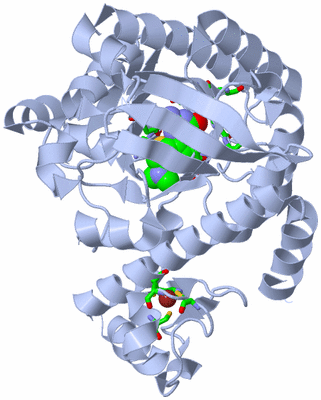 Image Biol. Unit 1 - sites