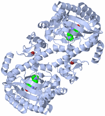 Image Biological Unit 2