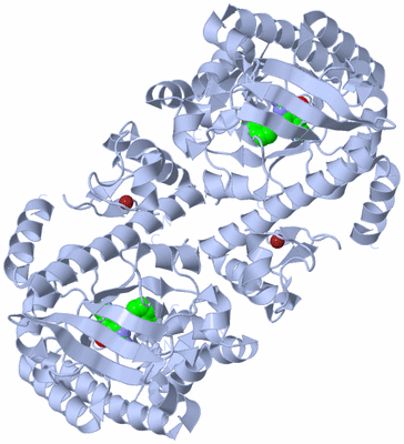 Image Biological Unit 2