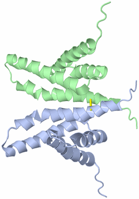 Image NMR Structure - model 1