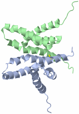 Image NMR Structure - model 1