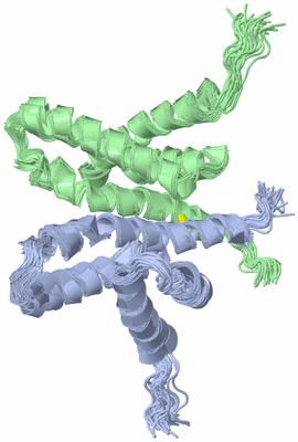 Image NMR Structure - all models