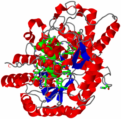 Image Asym./Biol. Unit - sites