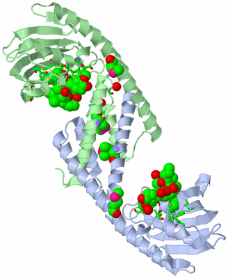 Image Asym./Biol. Unit - sites