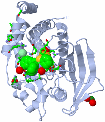 Image Biol. Unit 1 - sites