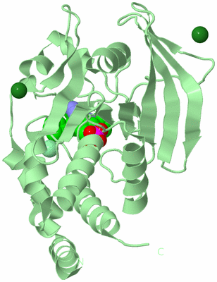 Image Biological Unit 2