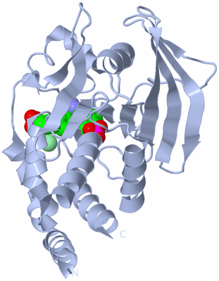 Image Biological Unit 1