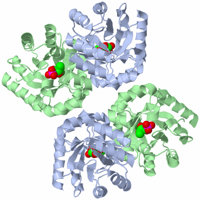 Image Biological Unit 2