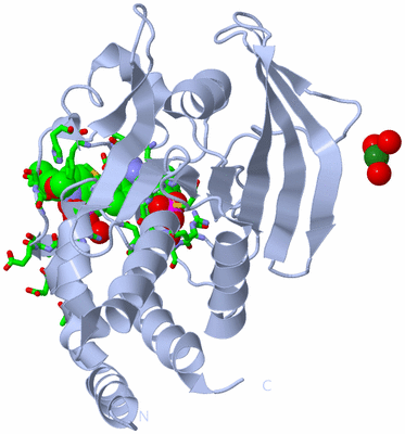 Image Biol. Unit 1 - sites