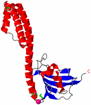 Image Asym. Unit - sites