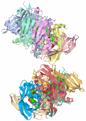 Image Asymmetric Unit
