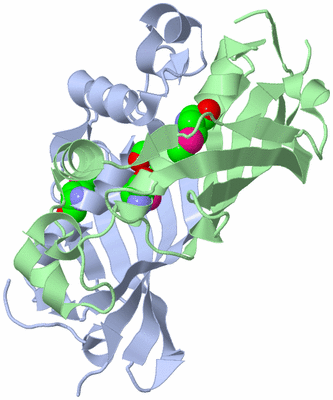 Image Biological Unit 1