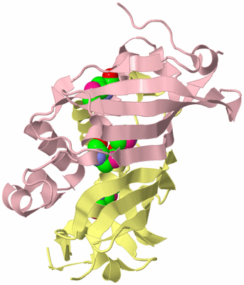 Image Biological Unit 2