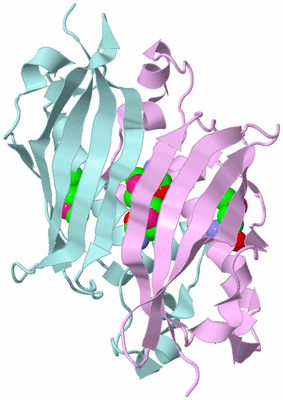 Image Biological Unit 3