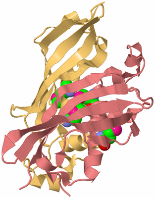 Image Biological Unit 4