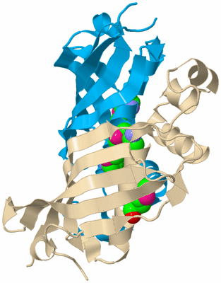 Image Biological Unit 5