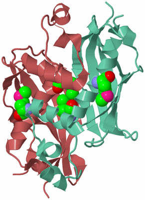 Image Biological Unit 6