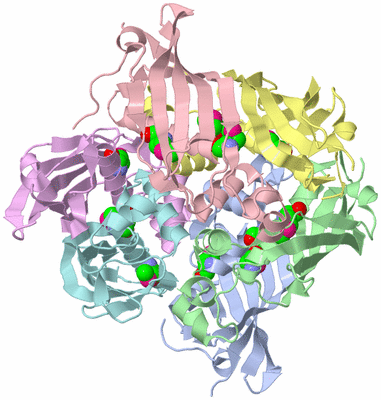 Image Biological Unit 7