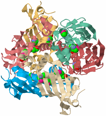 Image Biological Unit 8