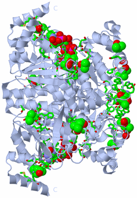 Image Biol. Unit 1 - sites