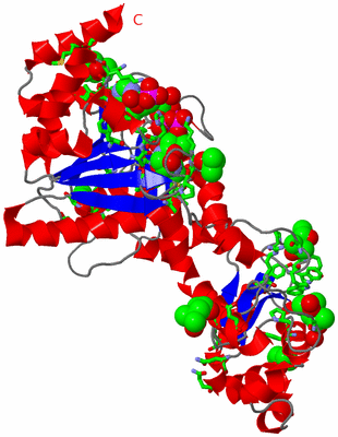 Image Asym. Unit - sites