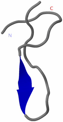 Image NMR Structure - model 1