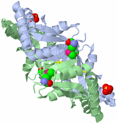 Image Biological Unit 2