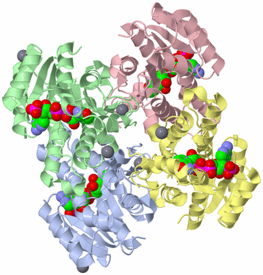 Image Asym./Biol. Unit