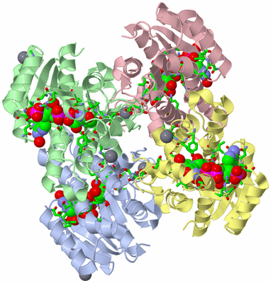 Image Asym./Biol. Unit - sites